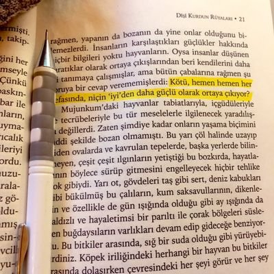 Mustafa Ergen